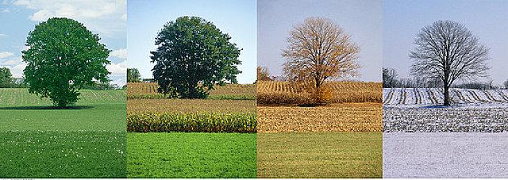 Steam沙盒建造《围攻Besiege》全新DLC“分裂之海”现已来袭！