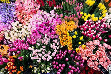 玩家连玩69小时《任天堂全明星大乱斗》 破吉尼斯世界纪录